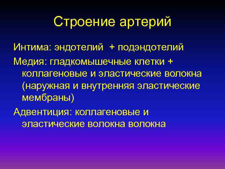 Строение артерий Интима: эндотелий + подэндотелий Медия: гладкомышечные клетки + коллагеновые и эластические волокна