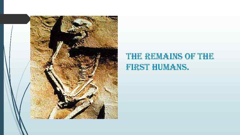 the remains of the first humans. 