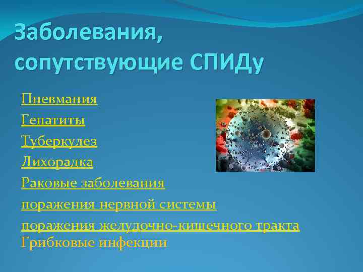 Заболевания, сопутствующие СПИДу Пневмания Гепатиты Туберкулез Лихорадка Раковые заболевания поражения нервной системы поражения желудочно-кишечного