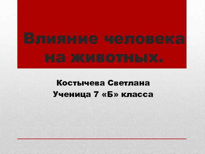 Влияние человека на животных. Костычева Светлана Ученица 7 «Б» класса 