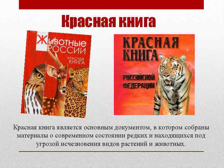 Красная книга является основным документом, в котором собраны материалы о современном состоянии редких и