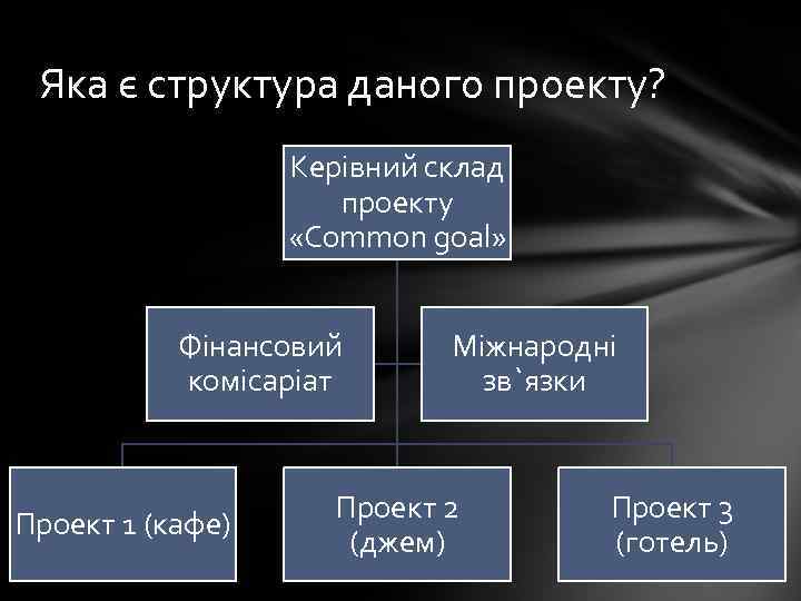 Яка є структура даного проекту? Керівний склад проекту «Common goal» Фінансовий комісаріат Проект 1