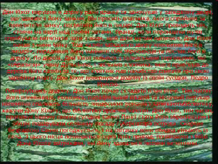 Дон Кіхот вирушив в дорогу рано вранці та заночував у заїжджому дворі, що здавався