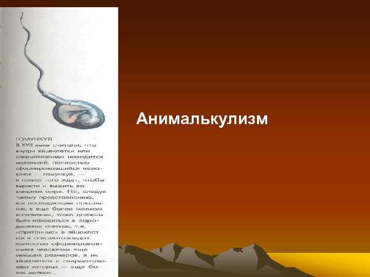  • Анималькулизм 