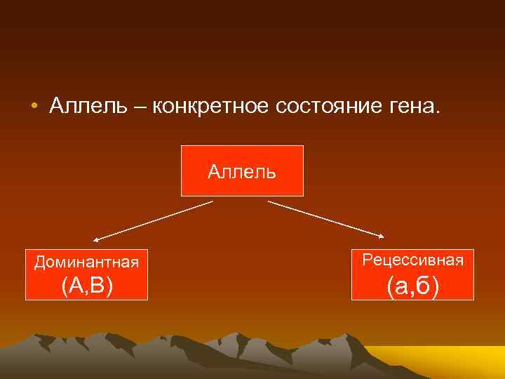  • Аллель – конкретное состояние гена. Аллель Доминантная Рецессивная (А, В) (а, б)