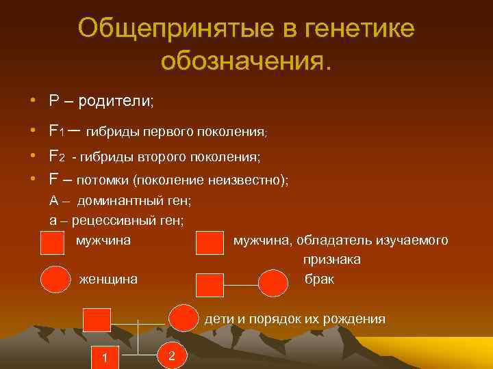 Общепринятые в генетике обозначения. • Р – родители; • F 1 – гибриды первого