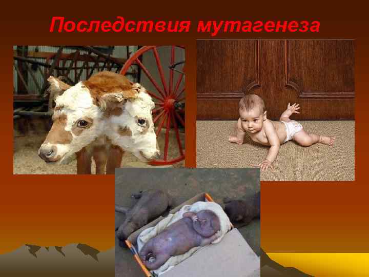 Последствия мутагенеза 