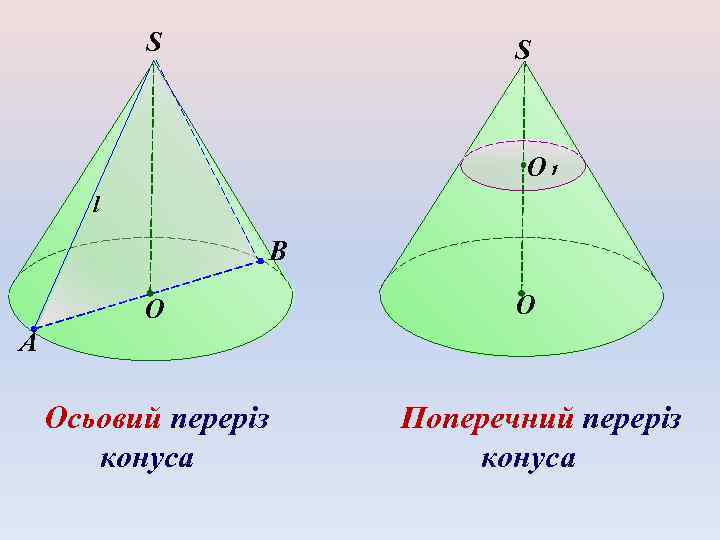 S S O₁ l B O O A Осьовий переріз конуса Поперечний переріз конуса