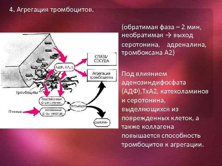 Агрегация это. Обратимая агрегация тромбоцитов. Механизм агрегации тромбоцитов. Агрегация тромбоцитов под влиянием АДФ. Обратимая и необратимая агрегация тромбоцитов.