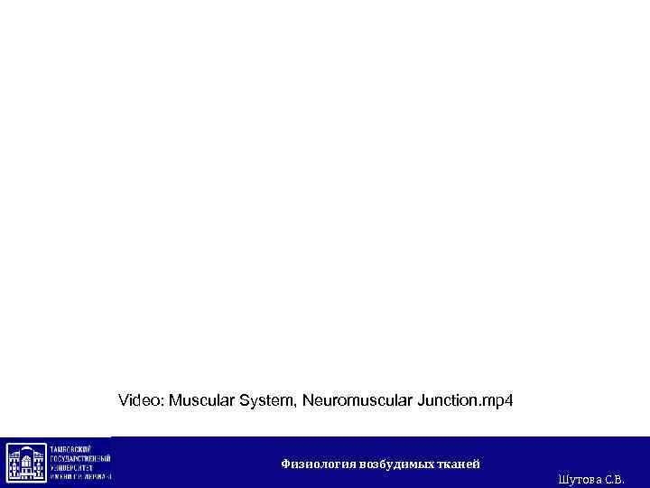 Video: Muscular System, Neuromuscular Junction. mp 4 Физиология возбудимых тканей Шутова С. В. 