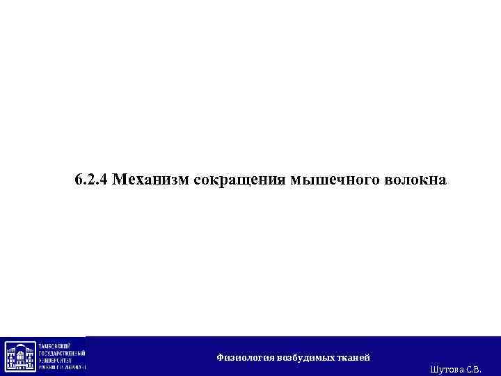6. 2. 4 Механизм сокращения мышечного волокна Физиология возбудимых тканей Шутова С. В. 