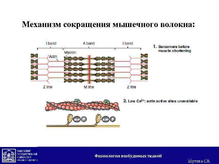 Что такое группа компаний с юридической точки зрения схема