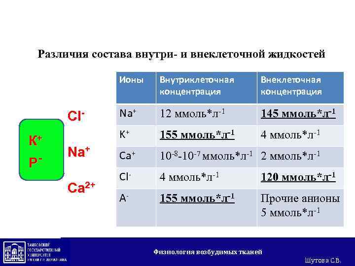 Различия состава внутри- и внеклеточной жидкостей Ионы К+ Р- Na+ Ca 2+ Внеклеточная концентрация