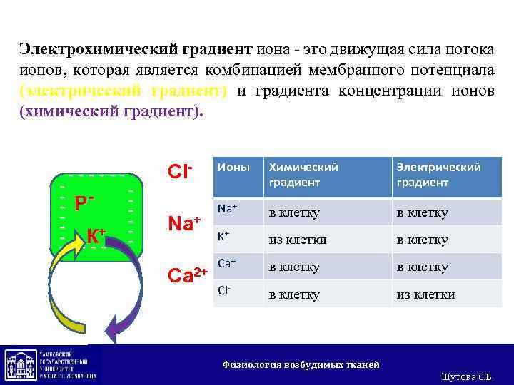 Электрический градиент