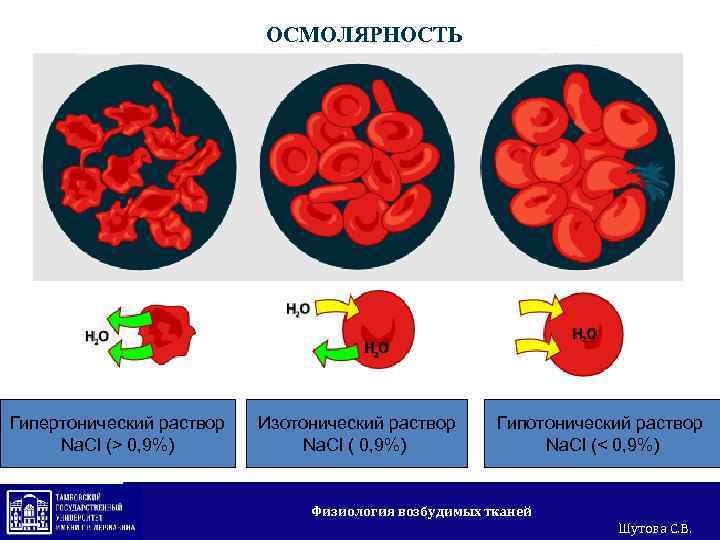 ОСМОЛЯРНОСТЬ Гипертонический раствор Na. Cl (> 0, 9%) Изотонический раствор Na. Cl ( 0,