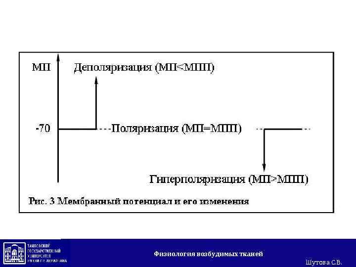 Физиология возбудимых тканей Шутова С. В. 