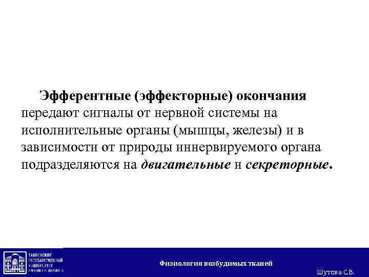 Эфферентные (эффекторные) окончания передают сигналы от нервной системы на исполнительные органы (мышцы, железы) и
