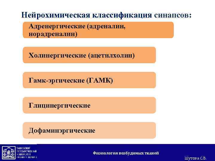 Нейрохимическая классификация синапсов: Адренергические (адреналин, норадреналин) Холинергические (ацетилхолин) Гамк-эргические (ГАМК) Глицинергические Дофаминэргические Физиология возбудимых