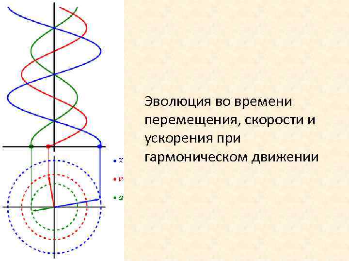 Эволюция во времени перемещения, скорости и ускорения при гармоническом движении 