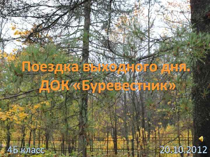 Поездка выходного дня. ДОК «Буревестник» 4 Б класс 20. 10. 2012 