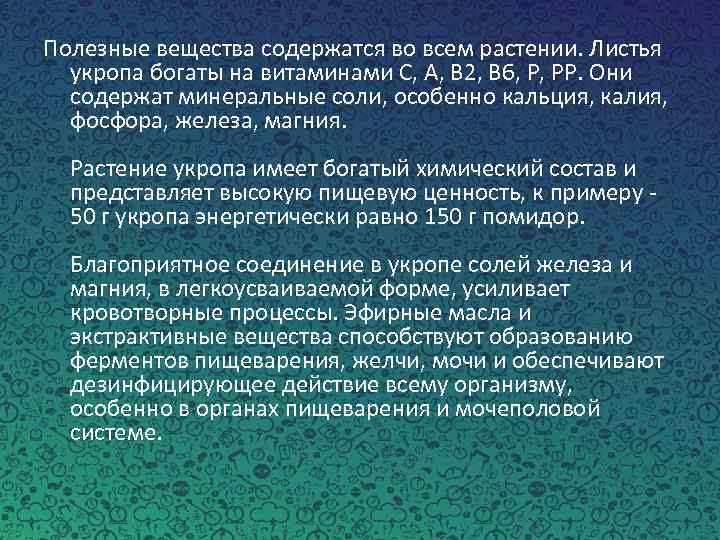 Полезные вещества содержатся во всем растении. Листья укропа богаты на витаминами С, А, В