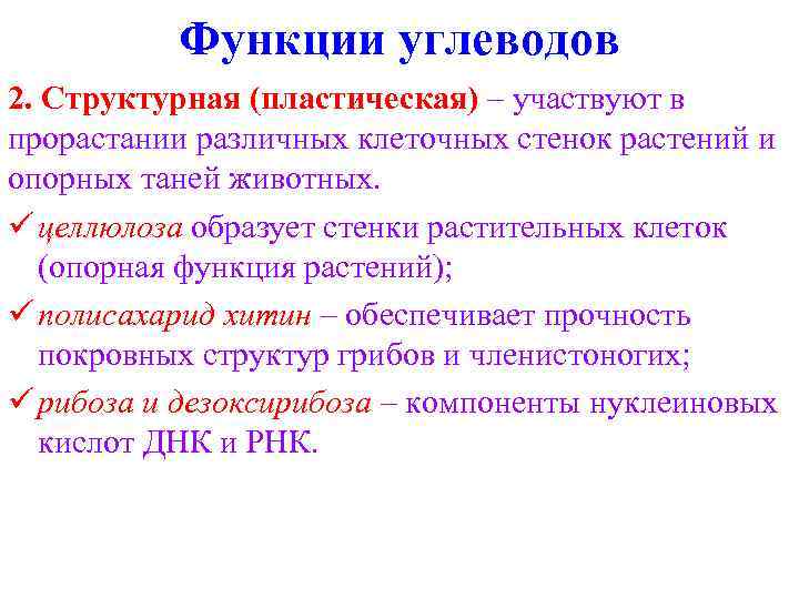 Функции углеводов 2. Структурная (пластическая) – участвуют в прорастании различных клеточных стенок растений и