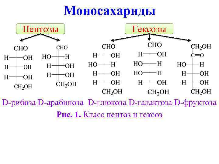 Глюкоза галактоза рибоза. Важнейшие пентозы и гексозы. Моносахариды пентозы гексозы. Глюкоза гексоза. Пентоза рибоза.