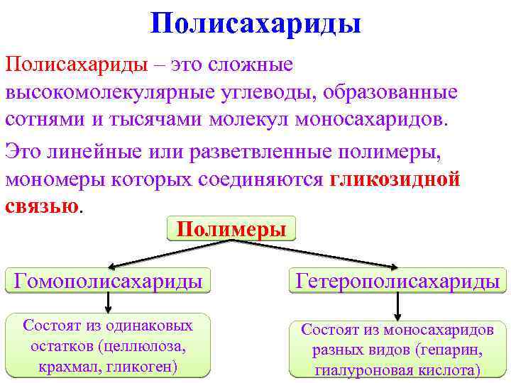 Полисахариды – это сложные высокомолекулярные углеводы, образованные сотнями и тысячами молекул моносахаридов. Это линейные