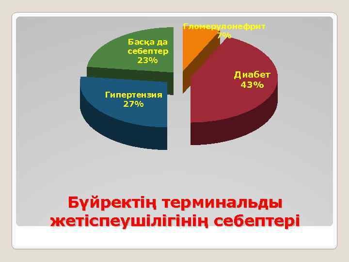 Басқа да себептер 23% Гипертензия 27% Гломерулонефрит 7% Диабет 43% Бүйректің терминальды жетіспеушілігінің себептері