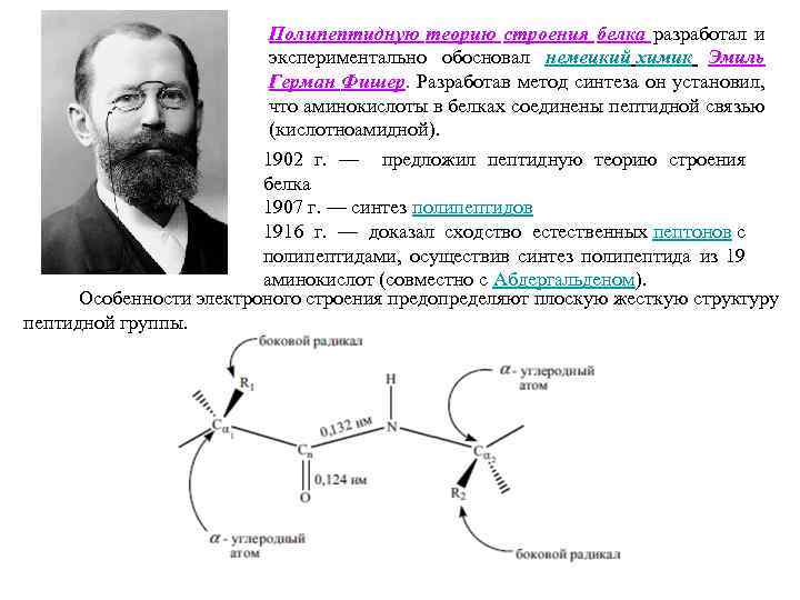 Эмиль герман фишер презентация