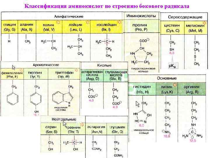 Химические элементы аминокислот. 20 Аминокислот классификация. 20 Аминокислот формулы классификация. Классификация Альфа аминокислот по радикалу. Классификация белковых аминокислот.