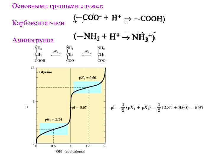 Основными группами служат: Карбоксилат-ион Аминогруппа 