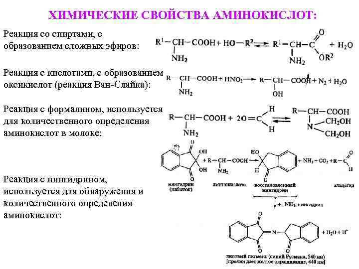 Реакции аминокислот