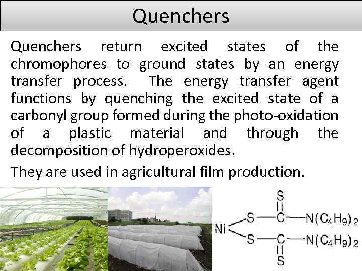 Quenchers return excited states of the chromophores to ground states by an energy transfer