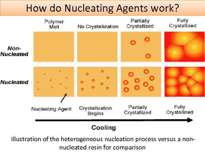 How do Nucleating Agents work? Illustration of the heterogeneous nucleation process versus a nonnucleated