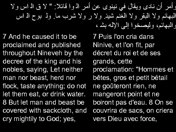  ﻭﺃﻤﺮ ﺃﻦ ﻧﺎﺩﻯ ﻭﻳﻘﺎﻝ ﻓﻲ ﻧﻴﻨﻮﻯ ﻋﻦ ﺃﻤﺮ ﺍﻟ ﻭﺍ ﻗﺎﺋﻼ: " ﻻ