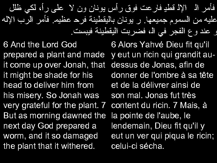  ﻓﺄﻤﺮ ﺍﻟ ﺍﻹﻟ ﻗﻄﻴ ﻓﺎﺭﻋﺖ ﻓﻮﻕ ﺭﺃﺲ ﻳﻮﻧﺎﻥ ﻭﻥ ﻻ ﻋﻠﻰ ﺭﺃ، ﻟﻜﻲ