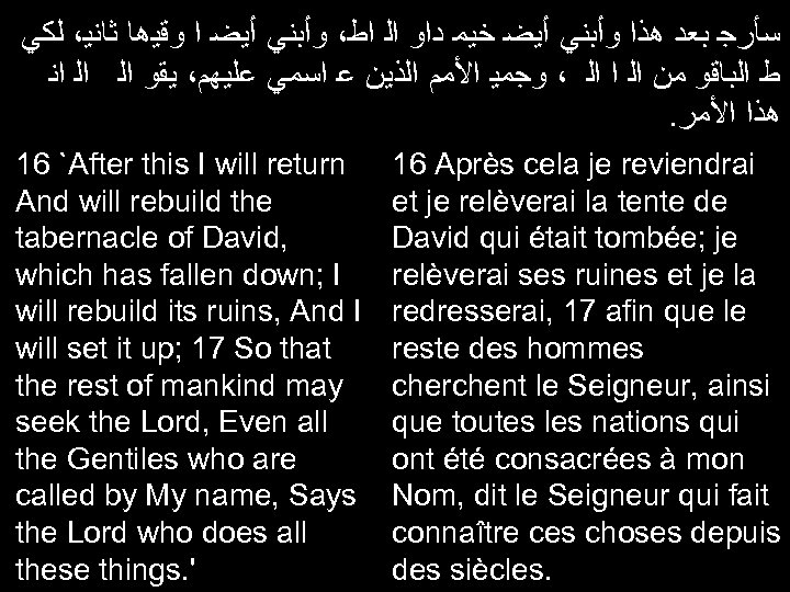  ﺳﺄﺮﺟ ﺑﻌﺪ ﻫﺬﺍ ﻭﺃﺒﻨﻲ ﺃﻴﻀ ﺧﻴﻤ ﺩﺍﻭ ﺍﻟ ﺍﻃ، ﻭﺃﺒﻨﻲ ﺃﻴﻀ ﺍ ﻭﻗﻴﻫﺎ