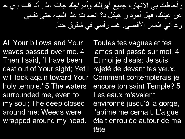  ﻭﺃﺤﺎﻃﺖ ﺑﻲ ﺍﻷﻨﻬﺎﺭ، ﺟﻤﻴﻊ ﺃﻬﻮﺍﻟﻚ ﻭﺃﻤﻮﺍﺟﻚ ﺟﺎﺕ ﻋﻠ. ﺃﻨﺎ ﻗﻠﺖ ﺇ ﻱ ﺣ