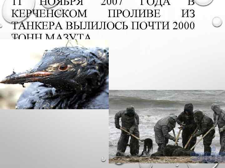 11 НОЯБРЯ 2007 ГОДА В КЕРЧЕНСКОМ ПРОЛИВЕ ИЗ ТАНКЕРА ВЫЛИЛОСЬ ПОЧТИ 2000 ТОНН МАЗУТА.