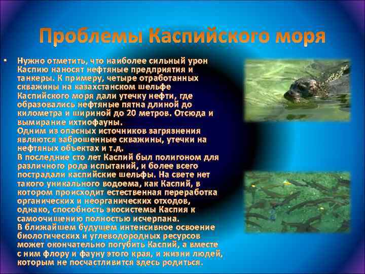  • Нужно отметить, что наиболее сильный урон Каспию наносят нефтяные предприятия и танкеры.