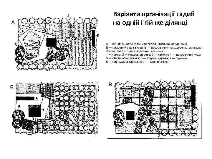 Варіанти організації садиб на одній і тій же ділянці 