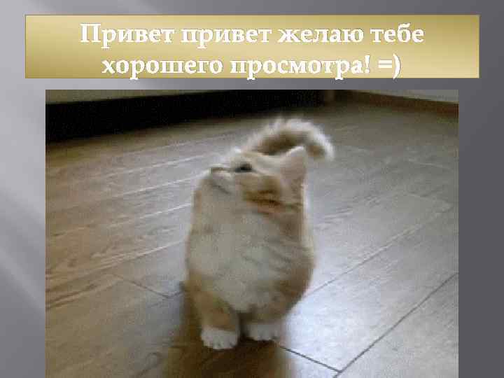 Привет привет желаю тебе хорошего просмотра! =) 