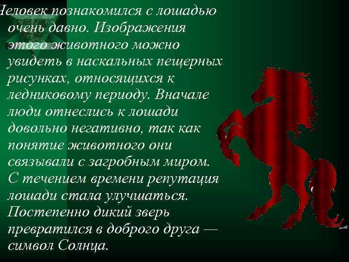 Человек познакомился с лошадью очень давно. Изображения этого животного можно увидеть в наскальных пещерных