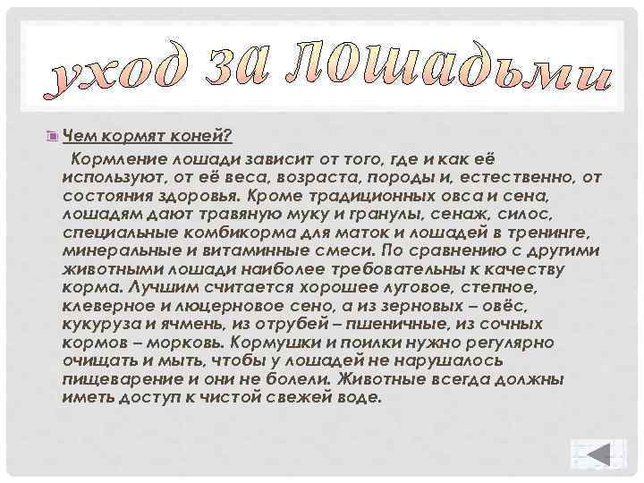 Чем кормят коней? Кормление лошади зависит от того, где и как её используют, от
