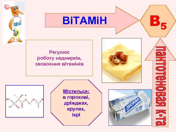 ВіТАМіН Регулює роботу наднирків, засвоєння вітамінів Міститься: в горохові, дріжджах, крупах, ікрі B 5