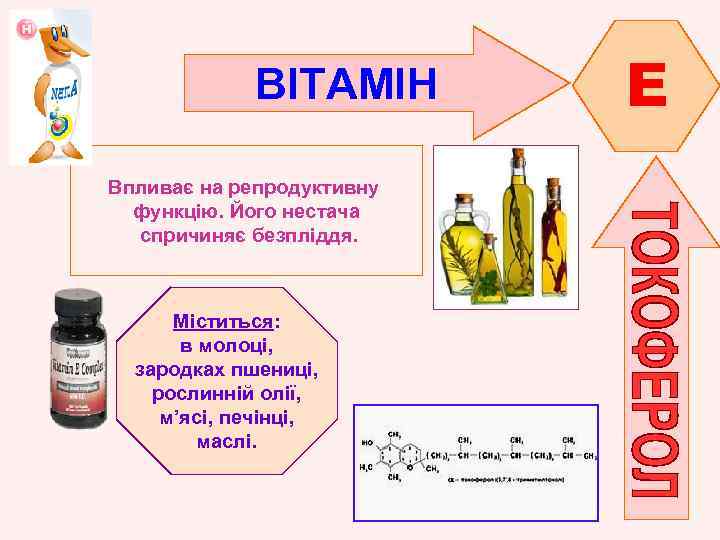 ВІТАМІН Впливає на репродуктивну функцію. Його нестача спричиняє безпліддя. Міститься: в молоці, зародках пшениці,