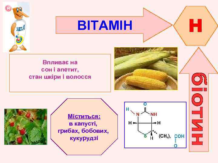 ВІТАМІН Впливає на сон і апетит, стан шкіри і волосся Міститься: в капусті, грибах,