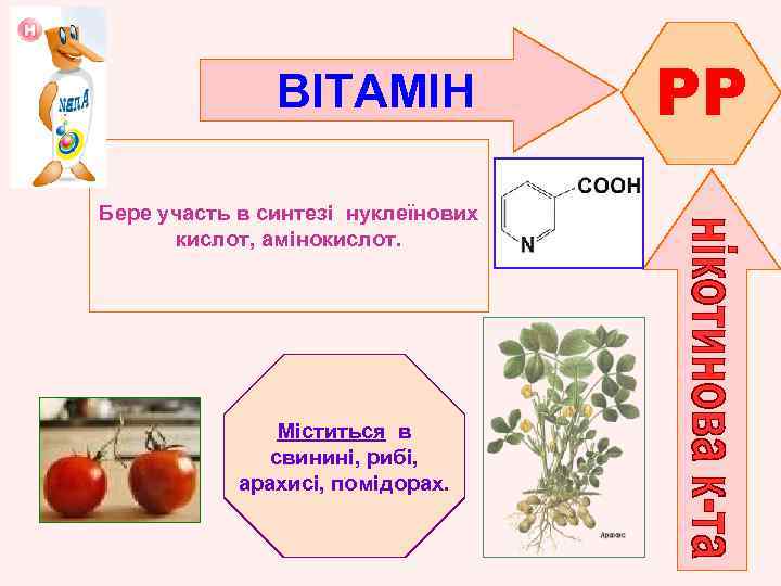 ВІТАМІН Бере участь в синтезі нуклеїнових кислот, амінокислот. Міститься в свинині, рибі, арахисі, помідорах.