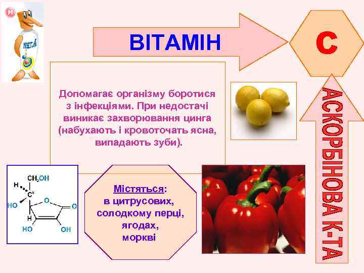 ВІТАМІН Допомагає організму боротися з інфекціями. При недостачі виникає захворювання цинга (набухають і кровоточать